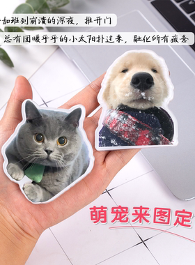宠物冰箱贴定制照片小猫咪狗狗立体高级感治愈系念礼物磁铁贴定做
