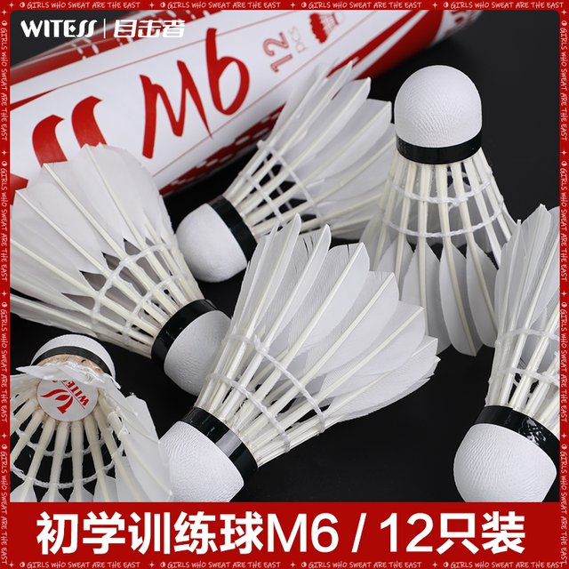 WITESS目击者羽毛球耐打12只装不易烂耐打羽毛球训练球专用YB014