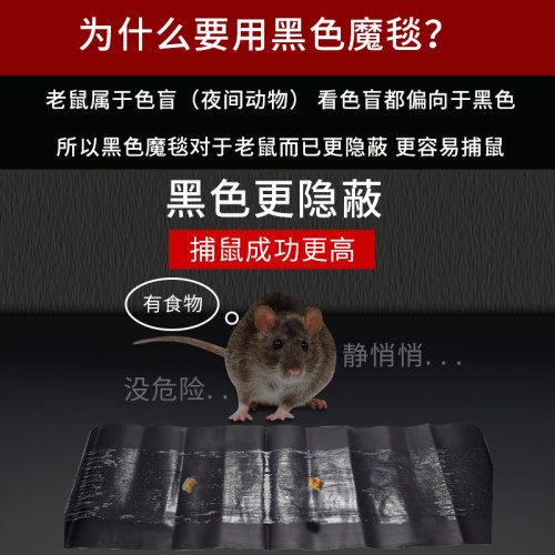 老鼠粘强力粘鼠板超强力胶粘大老鼠夹捕鼠神器灭鼠沾贴扑捉家用抓 - 图3
