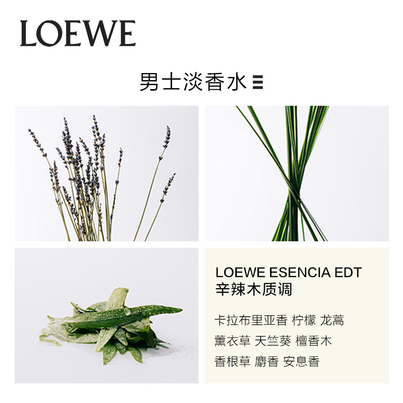 【吴磊推荐】loewe /罗意威淡香水 SEPHORA丝芙兰香水