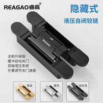 Wise High Cross Concealed Hinge hydraulic buffer Automatic closed door folding door Outer open invisible door hinge behind closed door