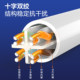 Category 6A 6G Gigabit indoor and outdoor network cable