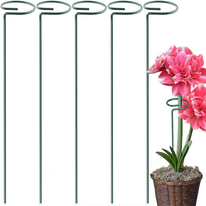 植物防倒伏支架铁艺绣球吊兰支撑杆园艺固定架爬藤花卉朱顶红花架,淘宝优惠券,粉丝福利购,淘宝优惠卷