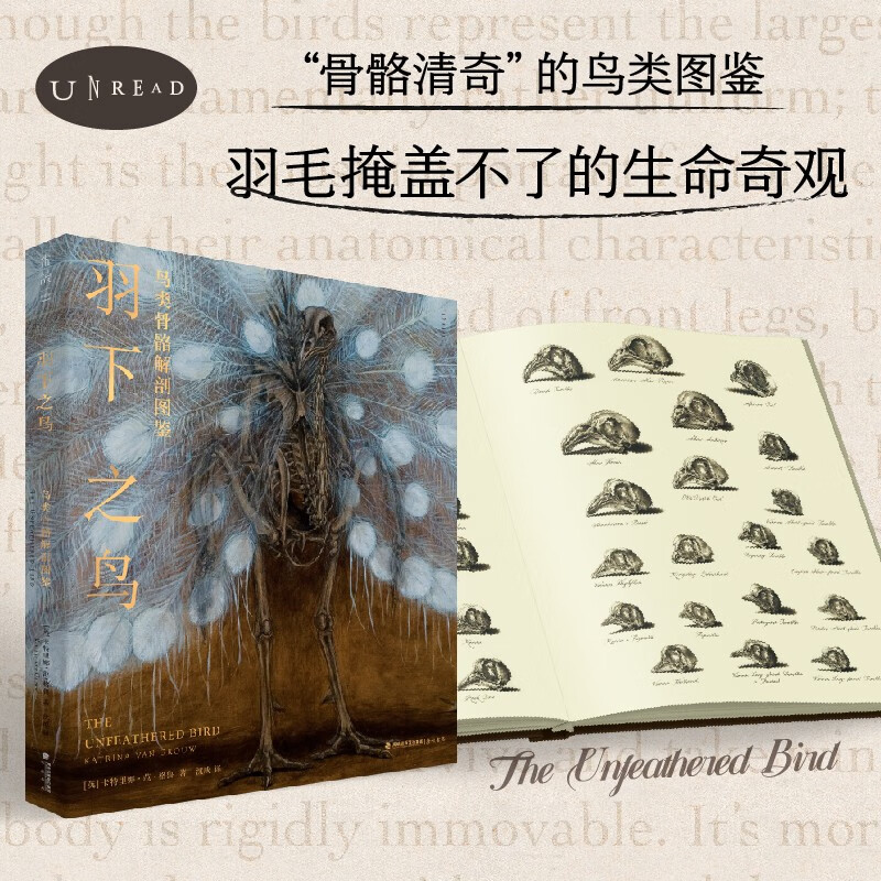 羽下之鸟 鸟类骨骼解剖图鉴 卡特里娜·范格鲁 著 科普读物