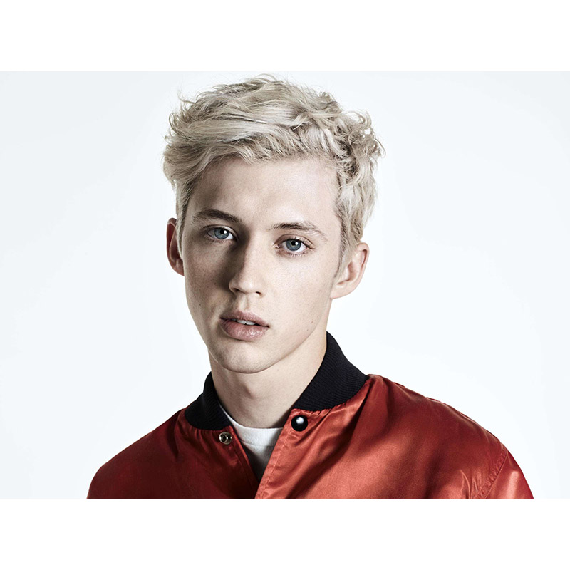 戳爷专辑 Troye Sivan Bloom 原版进口CD 附歌词本 特洛耶希文 - 图2