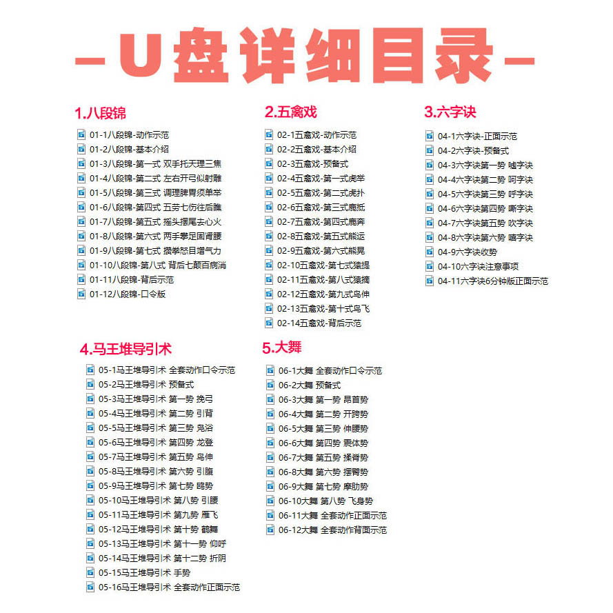 健身气功八段锦/五禽戏/六字诀/马王堆导引术教学视频U盘教程优盘 - 图0