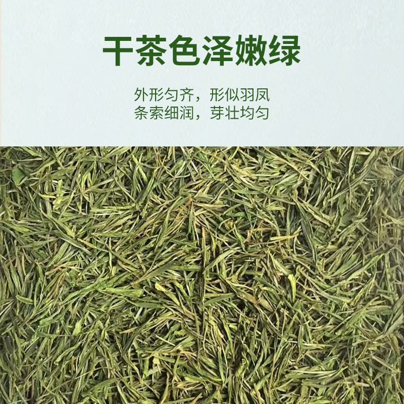 安吉特产珍稀白茶2025新茶春季浓香雨前口粮茶绿茶棋牌室茶叶散装 - 图0