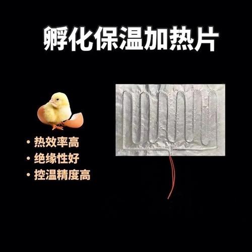 自制水床孵化器专用加热垫配件养殖保温加热片自动控温电热板热片 - 图3