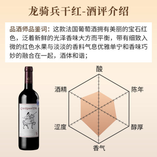 【品牌正品】法国进口红酒卡斯特龙骑兵干红葡萄酒VDF餐酒单瓶 - 图0
