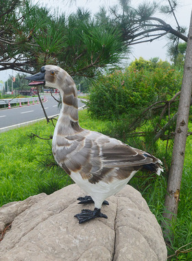 萌派羽毛招财田园摆件