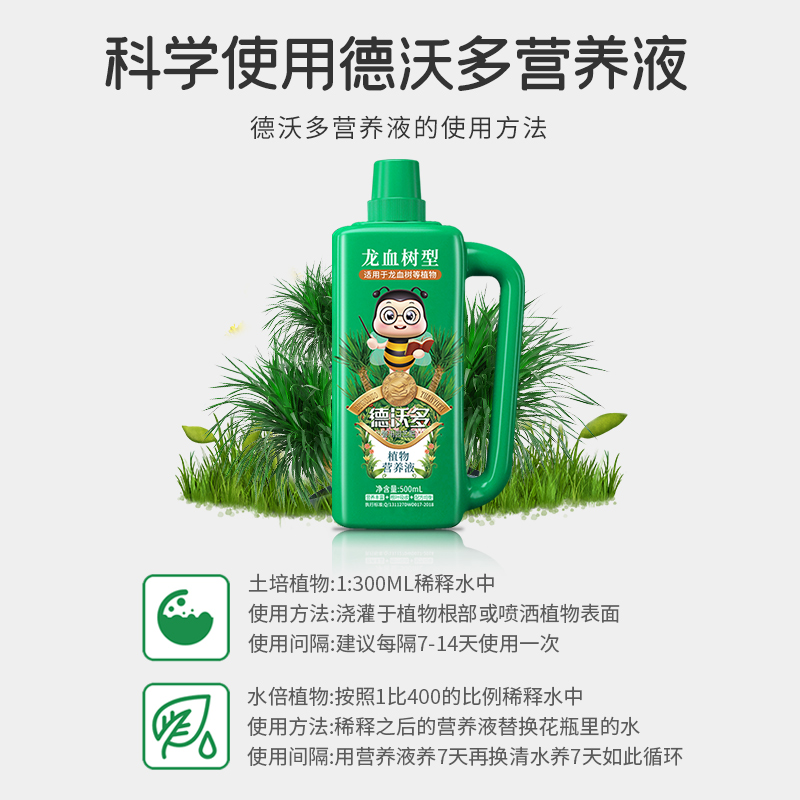 龙血树专用肥营养液盆栽植物室内绿植养花花肥龙须树通用复合花卉 - 图3