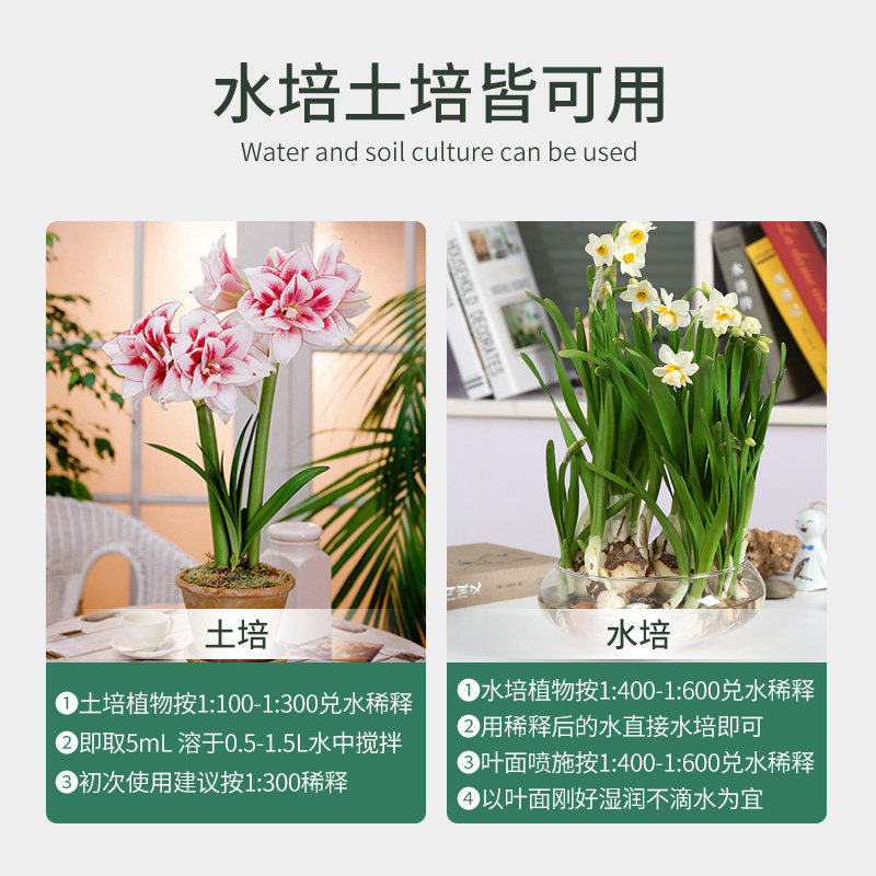 朱顶红肥料专用肥营养液球根植物风信子郁金香仙客来种球通用盆栽,淘宝优惠券,粉丝福利购,淘宝优惠卷