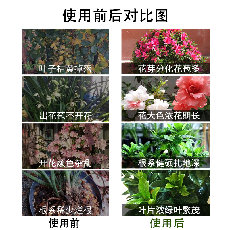 喜酸植物营养液酸性肥料专用肥茶花茉莉杜鹃栀子花家用盆栽水溶肥-图2