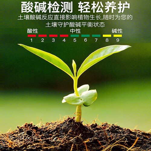 土壤酸碱度检测仪园艺花盆泥土传感器ph值测试仪水分高精度湿度计 - 图3