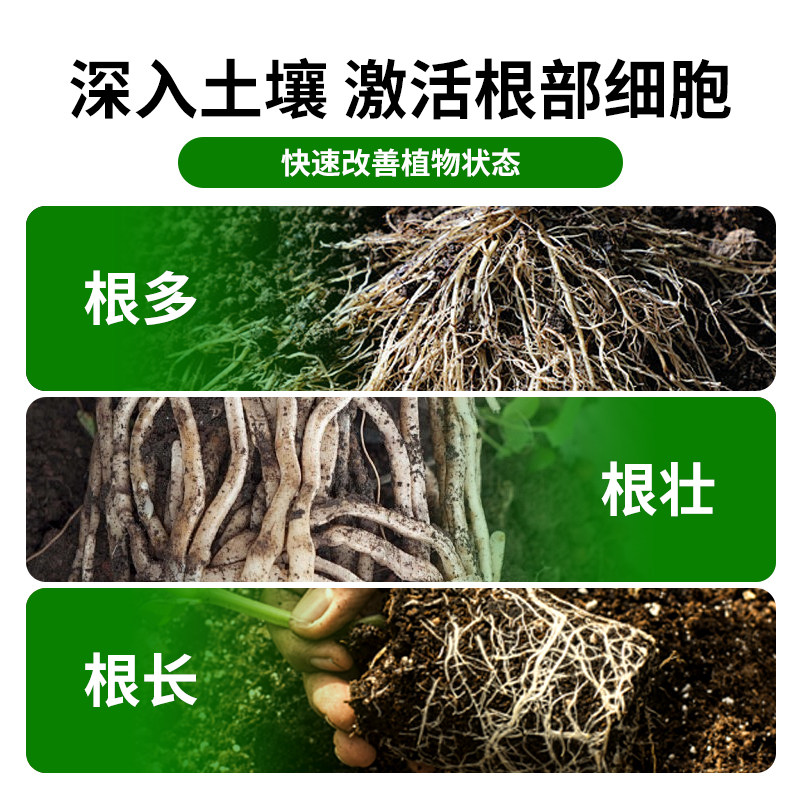 生根液花卉植物通用快速生根粉生根水强力扦插移栽专用生根壮苗剂,淘宝优惠券,粉丝福利购,淘宝优惠卷