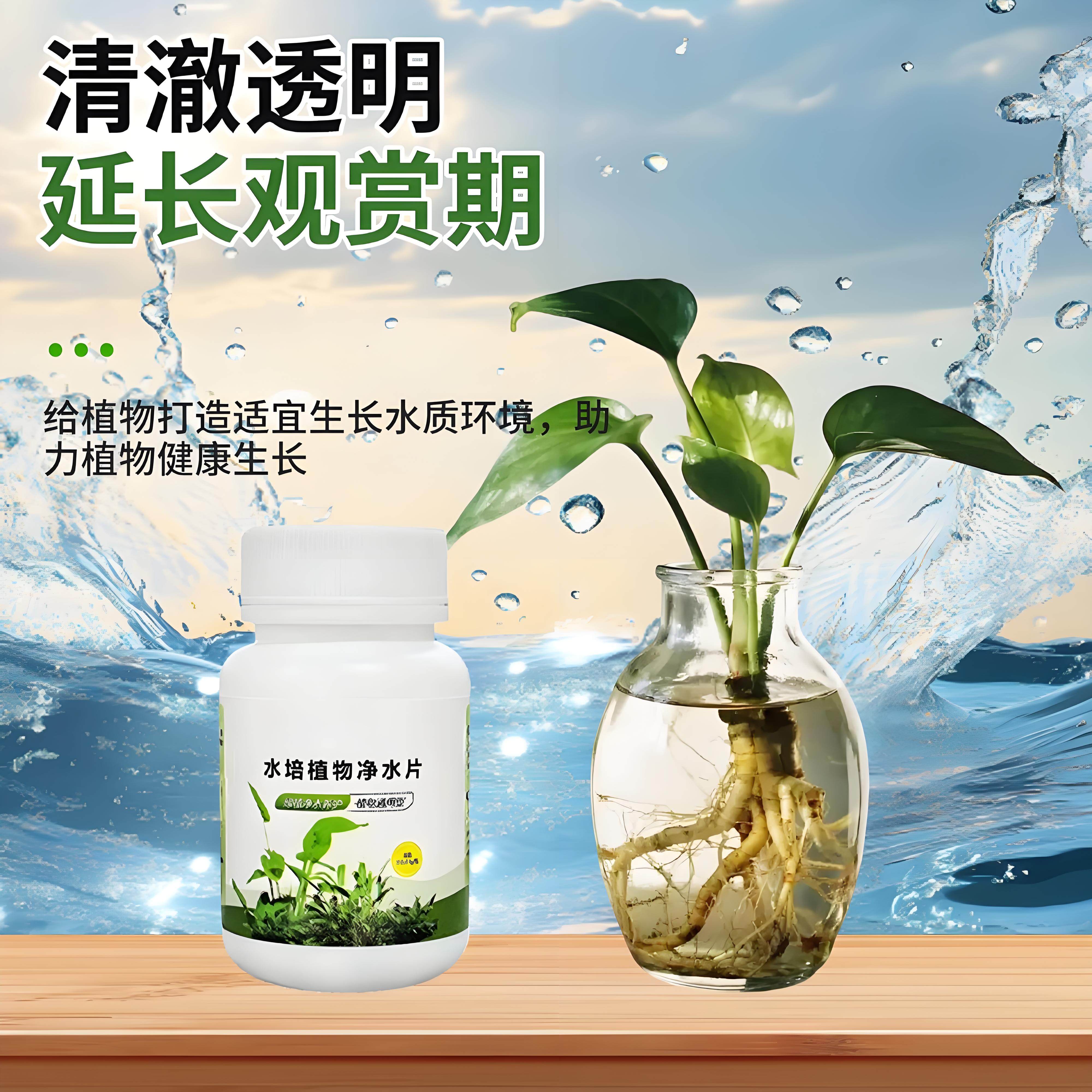 水培植物净水片专用碗莲荷花富贵竹鲜花保鲜鱼缸乌龟除臭杀菌消毒,淘宝优惠券,粉丝福利购,淘宝优惠卷