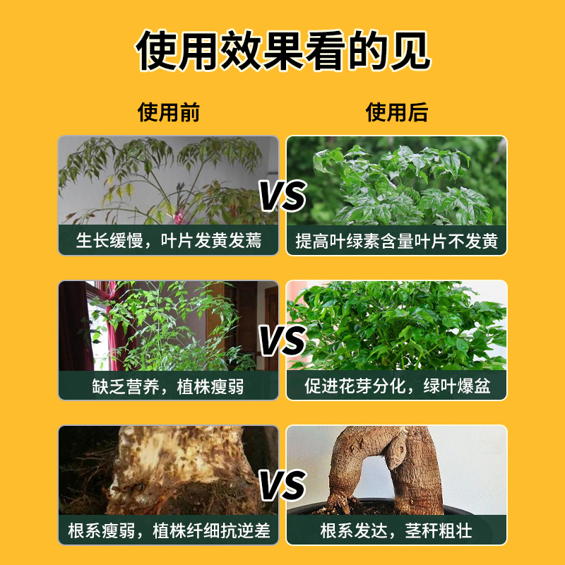 德沃多幸福树肥料专用肥专治黄叶室内绿植养花肥氮磷钾缓释复合肥 - 图3