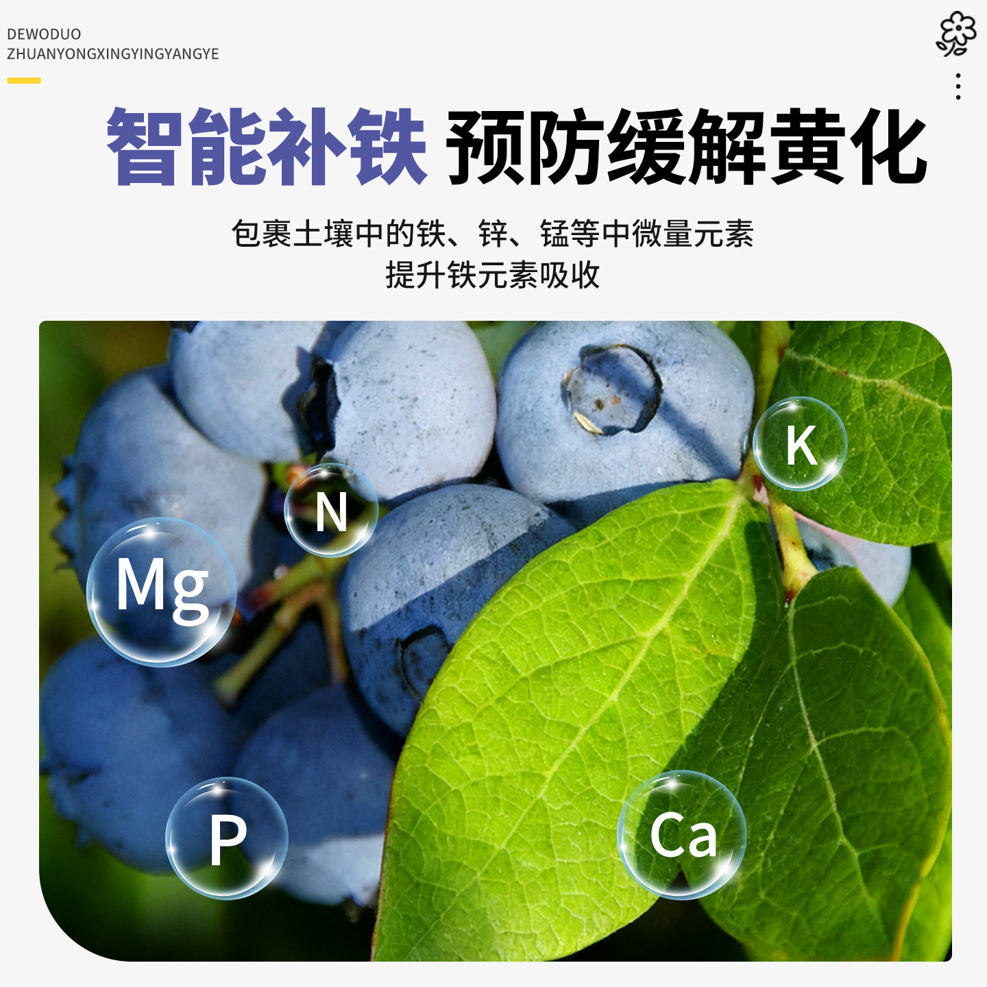 蓝莓专用鱼蛋白水溶肥膨果增甜氨基酸有机肥叶面肥料瓜果蔬营养液,淘宝优惠券,粉丝福利购,淘宝优惠卷