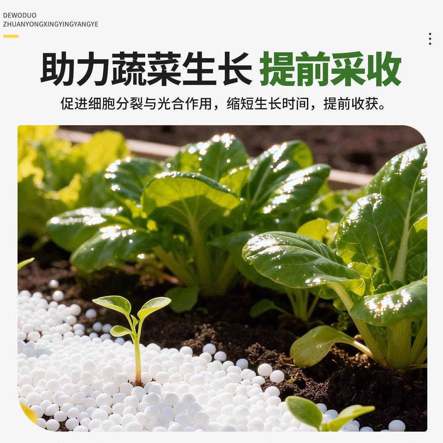 复合肥蔬菜农用种菜氮磷钾三元肥料家用养花肥果树专用通用型化肥,淘宝优惠券,粉丝福利购,淘宝优惠卷
