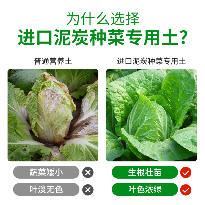 种菜专用土营养土阳台蔬菜有机肥料室内果蔬育苗种植泥炭土壤泥土 - 图0