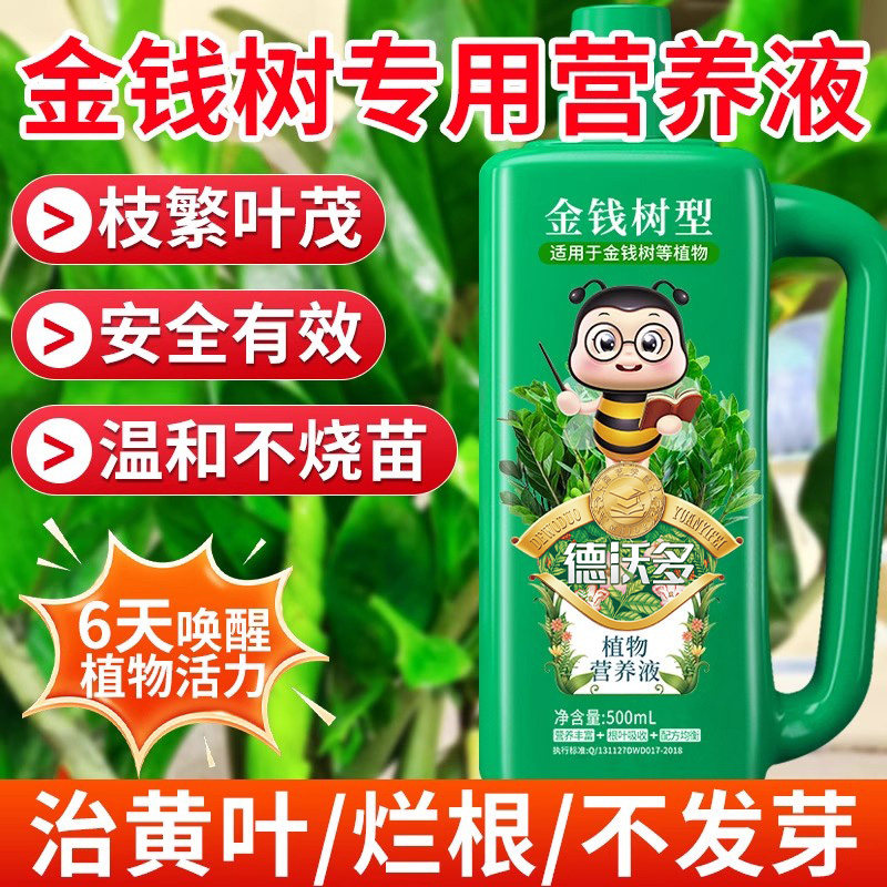 金钱树营养液肥料专用肥黄叶烂根室内盆栽植物通用发财树叶面花肥,淘宝优惠券,粉丝福利购,淘宝优惠卷