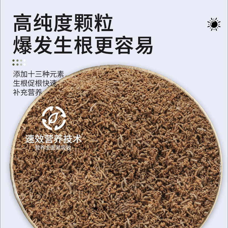 快速生根粉植物通用强力生根剂生根壮苗剂果树花卉扦插生根液药水 - 图1