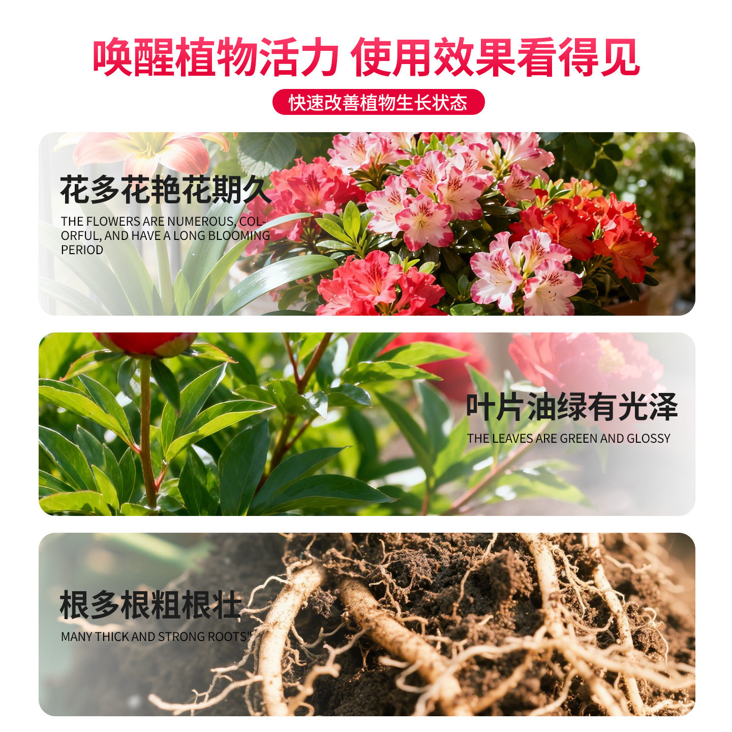 适合各种花的营养液盆栽花卉植物营养液室内通用花肥水溶性复合肥,淘宝优惠券,粉丝福利购,淘宝优惠卷