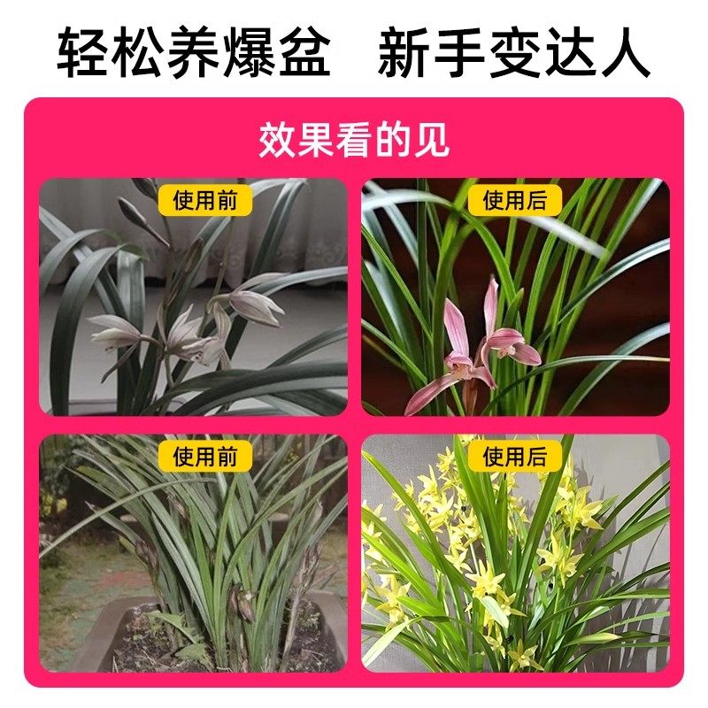 兰花多箭素爆芽素兰科植物通用营养液兰灵王蝴蝶兰多剑促花箭花肥,淘宝优惠券,粉丝福利购,淘宝优惠卷