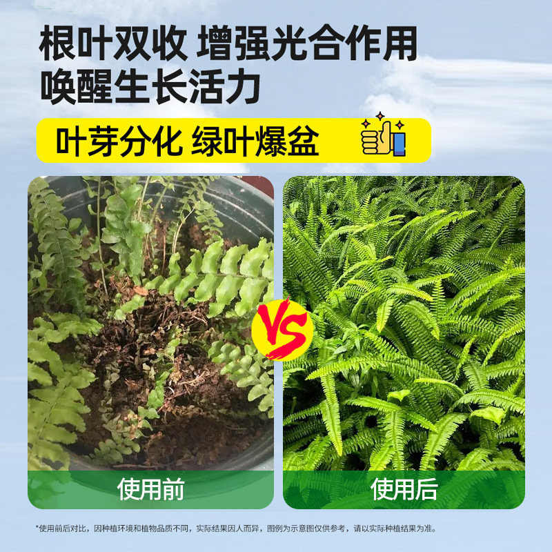 蕨类植物肥料专用肥营养液铁线蕨霸王蕨鹿角蕨狼尾蕨水培防枯黄叶,淘宝优惠券,粉丝福利购,淘宝优惠卷