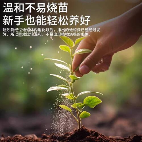 蚯蚓粪发酵腐熟蔬菜种菜养花植物营养土有机肥原料通用型缓释肥料 - 图2