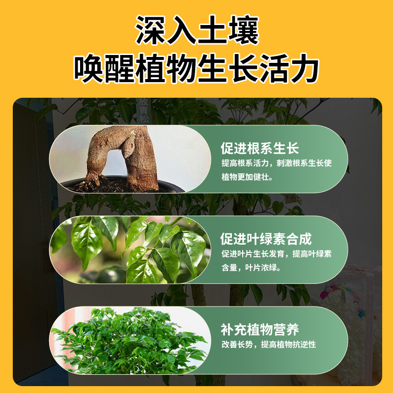 德沃多幸福树肥料专用肥专治黄叶室内绿植养花肥氮磷钾缓释复合肥 - 图2