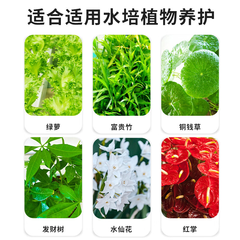 水培植物营养液肥料专用肥家用盆栽水养富贵竹碗莲种球通用水溶肥,淘宝优惠券,粉丝福利购,淘宝优惠卷