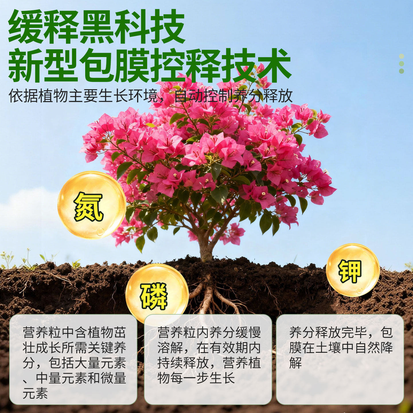 缓释肥花肥料家用盆栽植物通用复合肥氮磷钾肥颗粒养花卉绿植多肉,淘宝优惠券,粉丝福利购,淘宝优惠卷