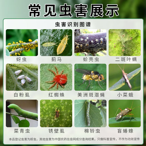 阿维菌素杀虫剂啶虫脒专用药月季花病虫害常用药红蜘蛛非虫卵双杀 - 图2