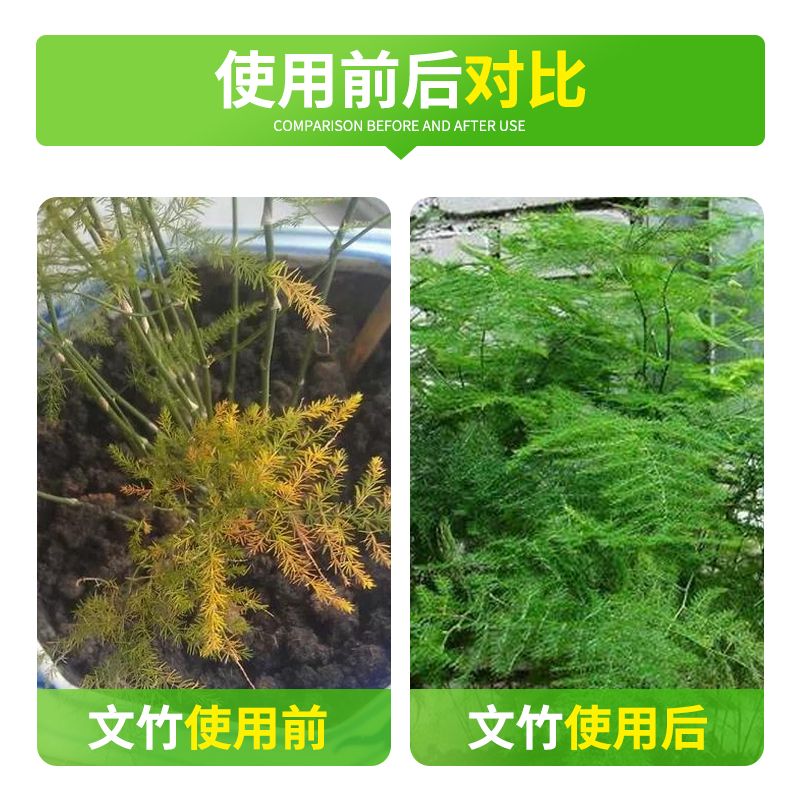 文竹专用肥营养液盆栽植物养花通用花肥料水培盆景治叶子发黄室内 - 图2