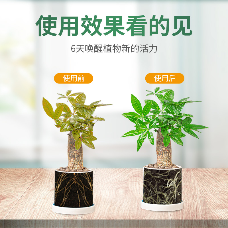 植物营养片缓释肥园艺养花专用花肥家用盆栽通用促开花复合化肥料,淘宝优惠券,粉丝福利购,淘宝优惠卷