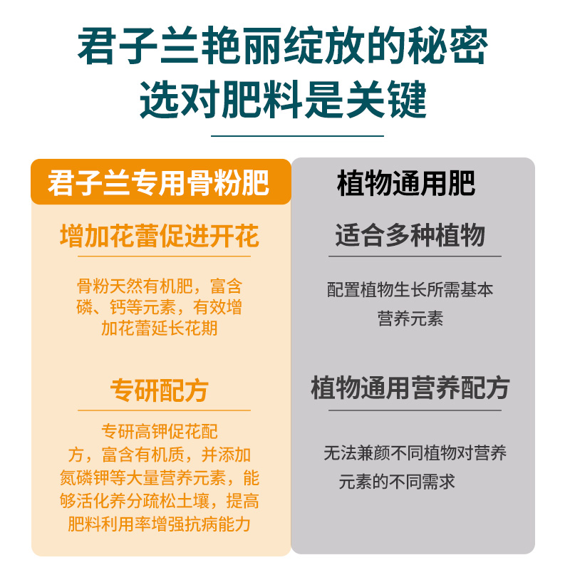 君子兰肥料专用肥骨粉养花专用肥家用促花养花有机通用营养液腰肥-图0