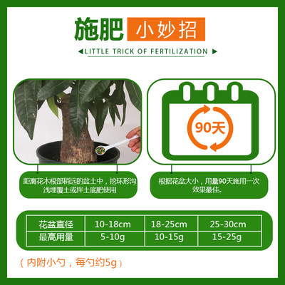 德沃多缓释肥颗粒发财树专用型平安树幸福树通用肥料盆栽家用肥料 虎窝淘