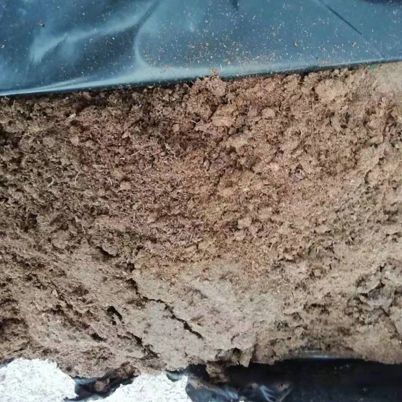 营养土捷菲优质黑泥炭土园艺花卉种植无土栽培蔬菜育苗用基质营养,淘宝优惠券,粉丝福利购,淘宝优惠卷