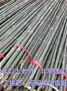 竹竿菜园搭架葡萄架蔬菜爬藤豆角架黄瓜长竹杆篱笆栅栏防腐细竹子