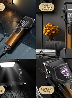 Professional Cordless Salon Hair Clipper, LED Fast Charging
