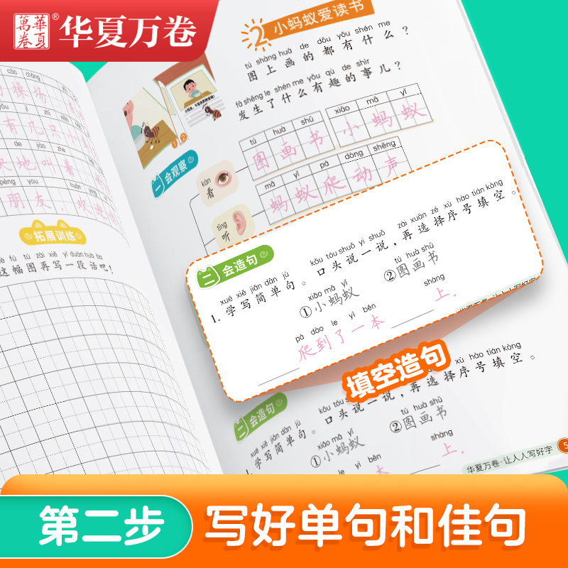 华夏万卷看图说话写话一二年级上册练字帖人教版2023秋小学生语文同步写字课每日一练天天练楷书描红本儿童铅笔字帖新华书店正版 - 图2