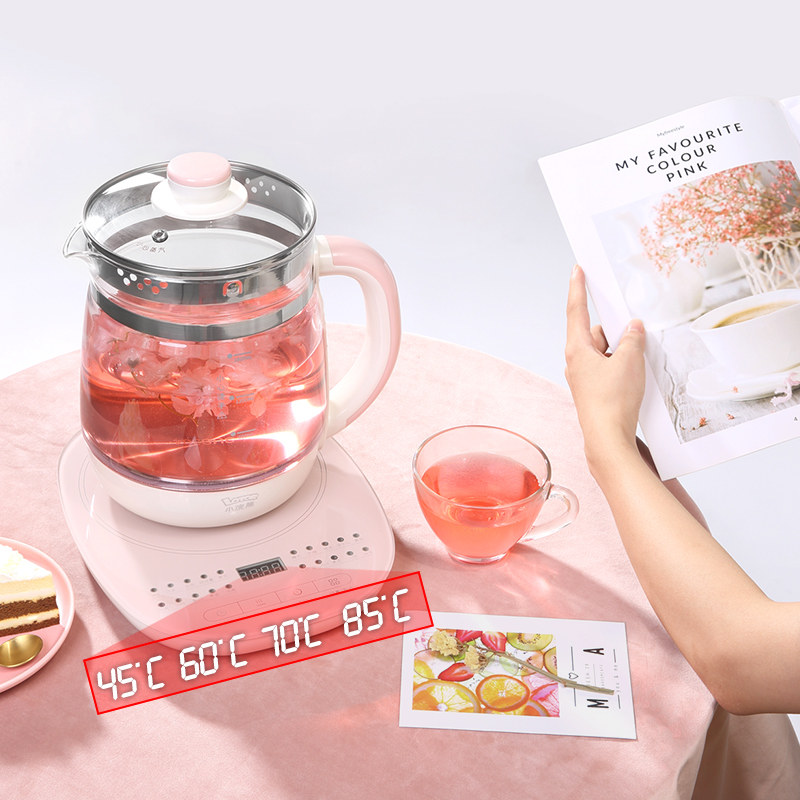  小浣熊优萌养生壶/煎药壶