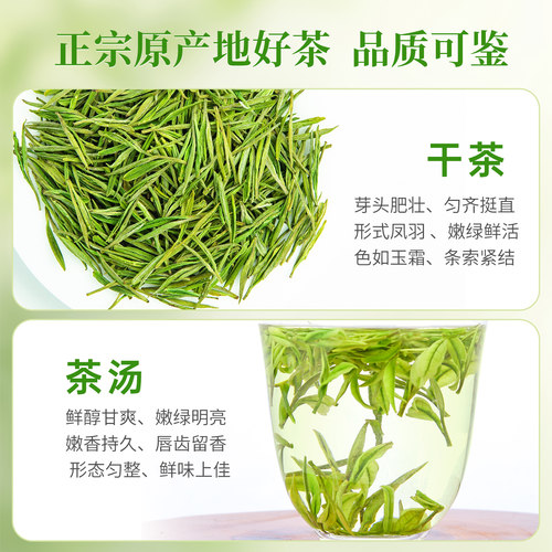 2026新茶竹乡安吉白茶明前特级500g罐装礼盒官方旗舰店正品绿茶叶 - 图1