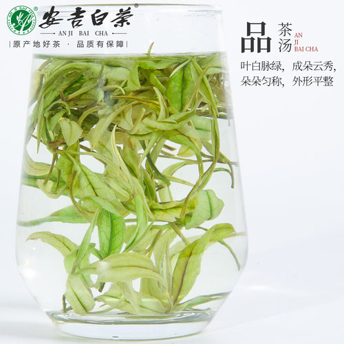 2026新茶廖小文新茶安吉白茶175g罐装雨前高山绿茶安吉口粮春茶叶 - 图2