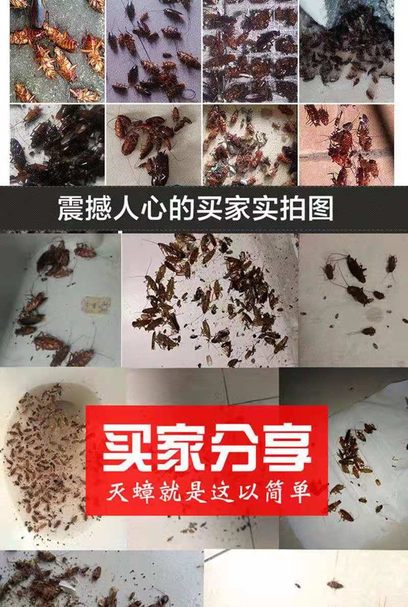 家用强效蟑螂药胶饵粉剂一窝端室内厨房全窝端小廉传染死亡杀蟑螂 - 图0