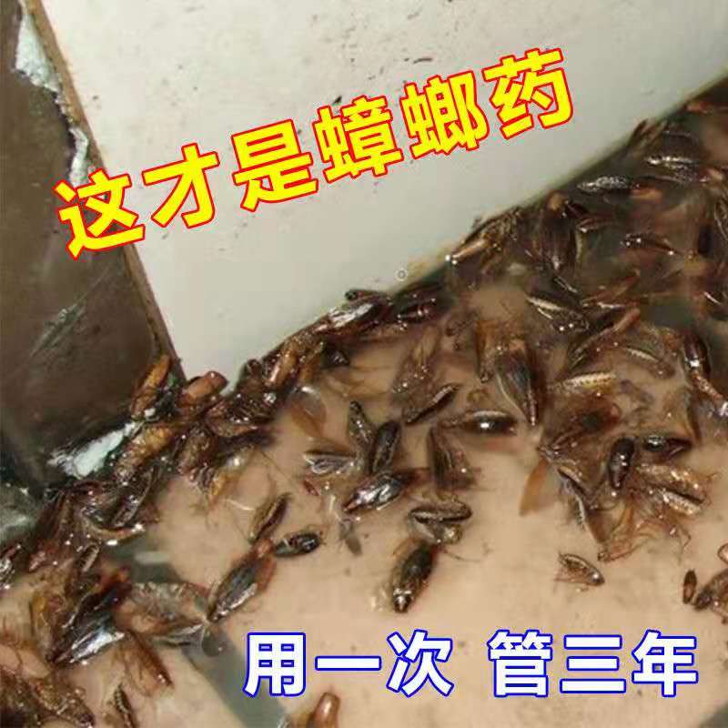 家用蟑螂药一窝全窝端扫净强力灭除绝杀胶饵剂贴非无毒屋厨房神器-图0