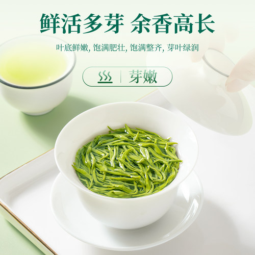 碧螺春2026新茶明前绿茶春茶特级浓香型茶叶自己喝官方旗舰店正品 - 图1