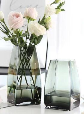 现代简约玻璃花瓶客厅创意装饰品家居摆件鲜花绿植水培容器