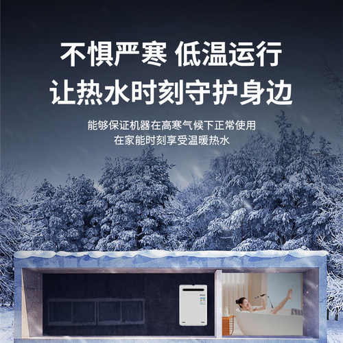 Rinnai/林内 REU-A1620W(K)-CH进口室外燃气热水器室外防冻恒温 - 图0